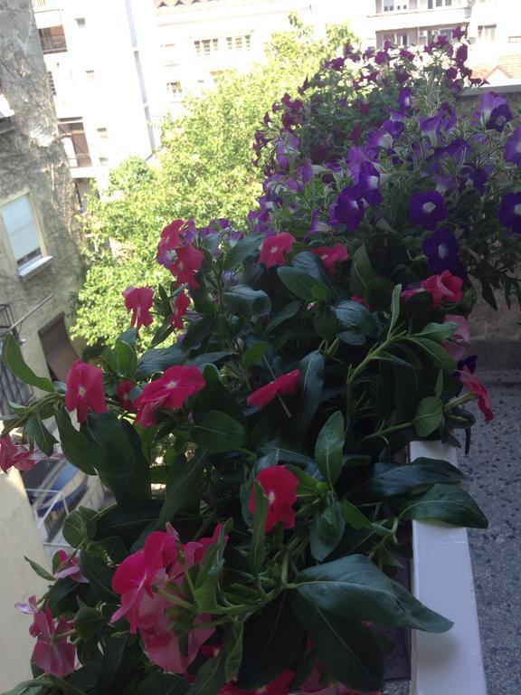 Apartment Bohemian Rhapsody ベオグラード 部屋 写真